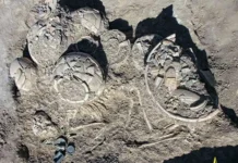 Сокровища Чалоу привлекают внимание археологов Ирана и Великого Хорасана sokrovishha chalou privlekayut vnimanie arheologov irana i velikogo horasana-urbandigest-ru-0