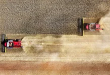 Совэкон и Русагротранс прогнозируют восстановление экспорта пшеницы в Египет и Турцию sovekon i rusagrotrans prognoziruyut vosstanovlenie eksporta psheniczy v egipet i turcziyu-urbandigest-ru-0