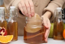 Ученые ПНИПУ разработали диабетический чайный гриб для улучшения здоровья uchenye pnipu razrabotali diabeticheskij chajnyj grib dlya uluchsheniya zdorovya-urbandigest-ru-0