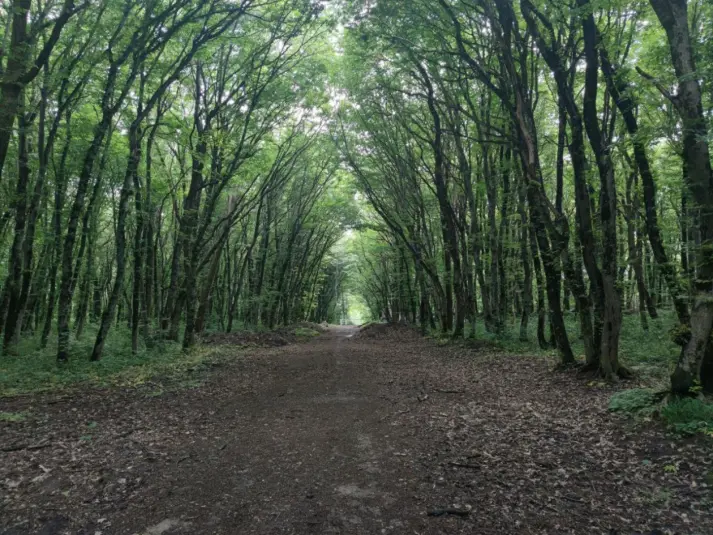 Фото: primamedia.ru