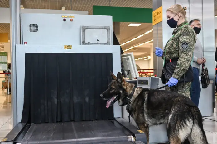 Законы для борьбы с контрабандой наркотиков в РФ направлены на безопасность-0