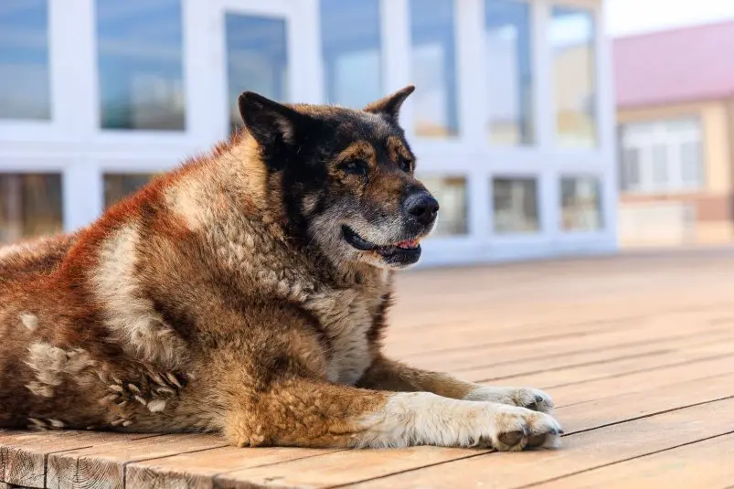 Фото: primamedia.ru