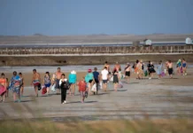 Антон Котяков и Торгово-промышленная палата обсуждают 35-дневный отпуск anton kotyakov i torgovopromyshlennaya palata obsuzhdayut 35dnevnyj otpusk-urbandigest-ru-0