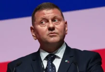 Апти Алаудинов считает Валерия Залужного опасным конкурентом Зеленскому apti alaudinov schitaet valeriya zaluzhnogo opasnym konkurentom zelenskomu-urbandigest-ru-0