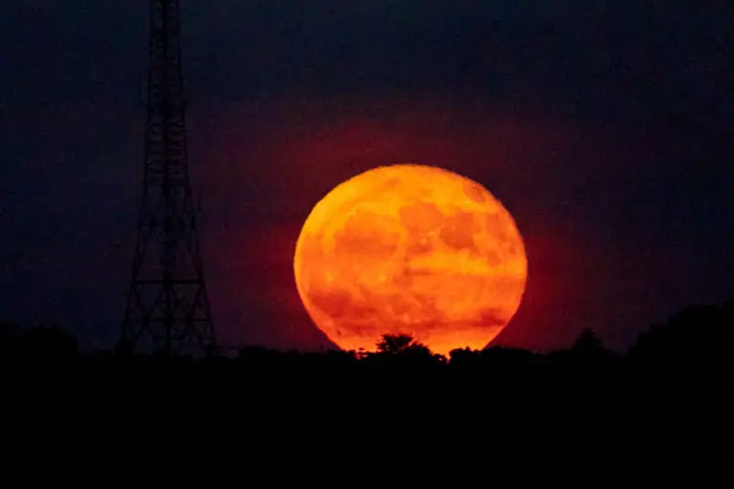 Фото: primamedia.ru