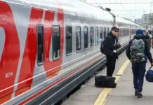 История папильона Шуры и ответ РЖД о заботе о питомцах istoriya papilona shury i otvet rzhd o zabote o pitomczah-urbandigest-ru-0