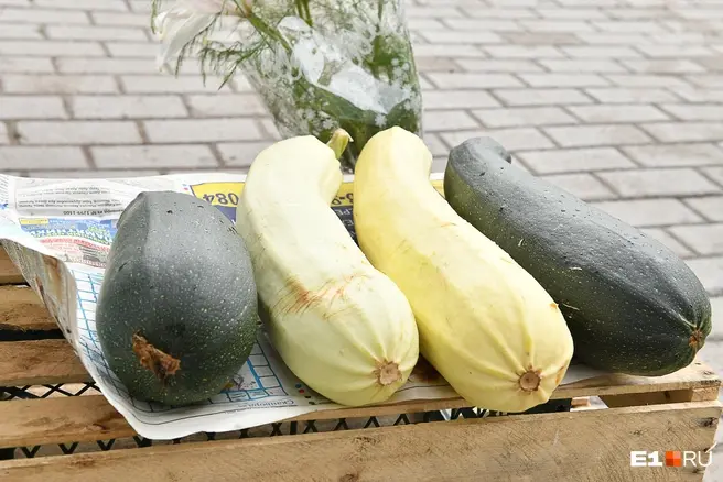 Кабачки в магазинах еще есть, попробуйте что-нибудь приготовить | Источник: Артем Устюжанин / E1.RU