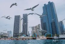 Российские туристы предпочитают Турцию и Вьетнам в летнем сезоне rossijskie turisty predpochitayut turcziyu i vetnam v letnem sezone-urbandigest-ru-0