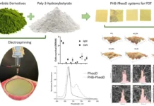 uchenye ibhf ran predstavili perspektivnuyu sistemu dostavki fotosensibilizatorov-urbandigest-ru-0