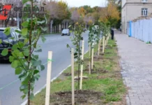 В Рязанской области внедряют новые зеленые традиции с Малковым, Халиковым и Уворвихвостом v ryazanskoj oblasti vnedryayut novye zelenye tradiczii s malkovym halikovym i uvorvihvostom-urbandigest-ru-0