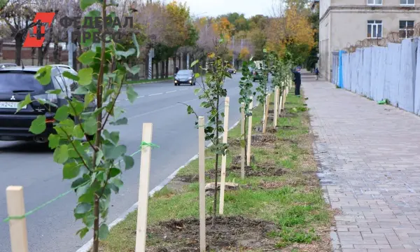В Рязанской области внедряют новые зеленые традиции с Малковым, Халиковым и Уворвихвостом-0