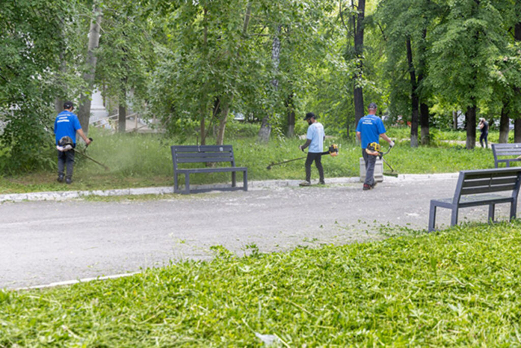 Алексей Вихарев: политика участия, а не формальности