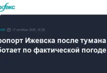 aeroport izhevska vozobnovil rabotu mneniya aleksandra sinelnikova i andreya shutkina-urbandigest-ru-0