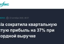 Акционеры Tesla отмечают рекордную выручку и устойчивый рост бизнеса akczionery otmechayut rekordnuyu vyruchku i ustojchivyj rost biznesa-urbandigest-ru-0