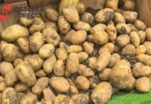 Алексей Красильников озвучил прогноз цен на картофель к праздникам aleksej krasilnikov ozvuchil prognoz czen na kartofel k prazdnikam-urbandigest-ru-0