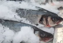 Coral Club дает советы по питанию для бодрости и ясности ума осенью daet sovety po pitaniyu dlya bodrosti i yasnosti uma osenyu-urbandigest-ru-0