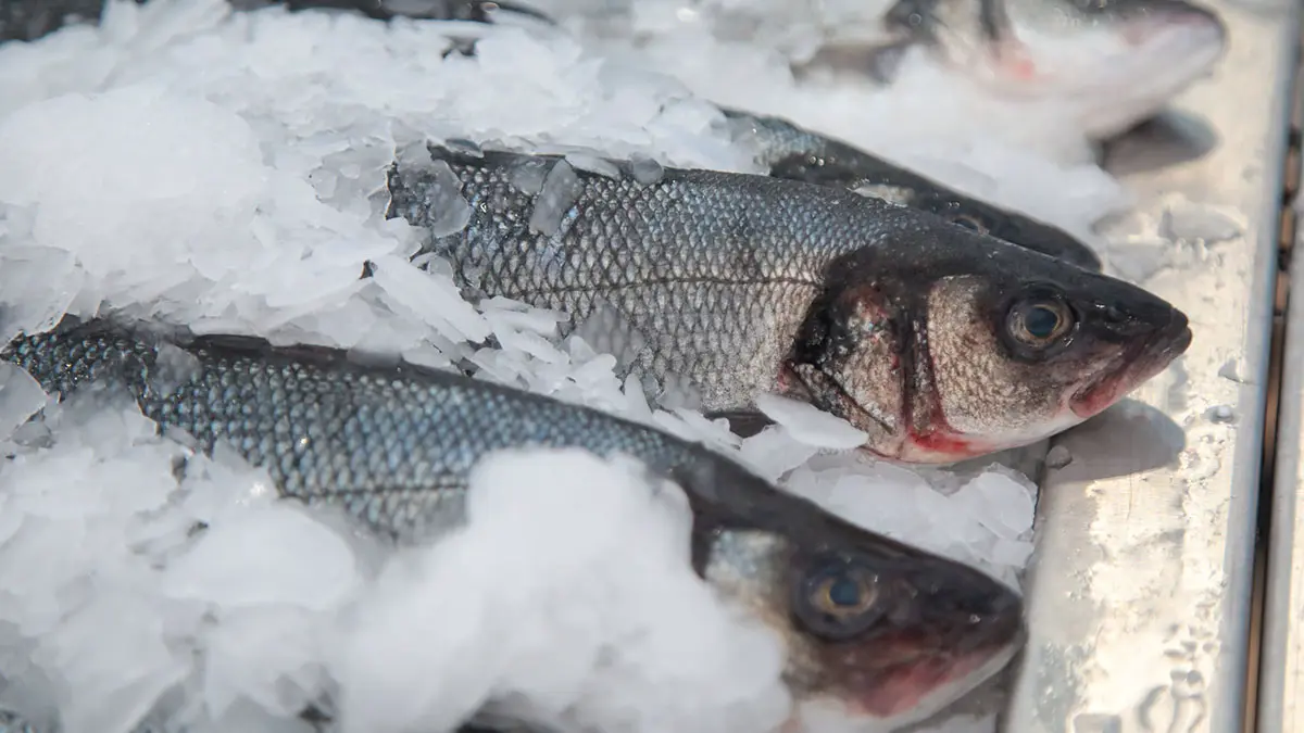 Врач Мановска назвала продукты, которые помогут справиться с осенней усталостью