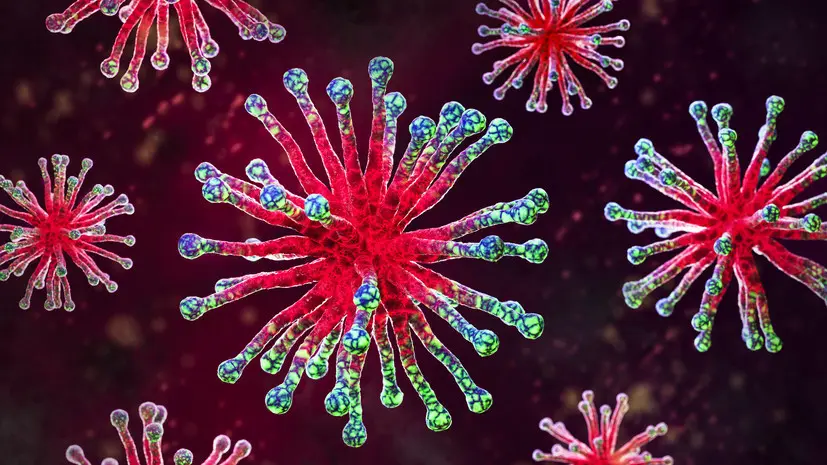 Вирусолог Малинникова: COVID-19 сохраняет активность