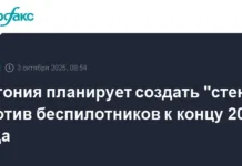 Эстония планирует построить антидронную стену до 2027 года, Михал призывает к поддержке ЕС и НАТО estoniya planiruet postroit antidronnuyu stenu do 2027 goda mihal prizyvaet k podderzhke es i nato-urbandigest-ru-0