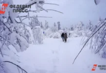 Исчезновение семьи Усольцевых из Красноярского края вызывает вопросы ischeznovenie semi usolczevyh iz krasnoyarskogo kraya vyzyvaet voprosy-urbandigest-ru-0