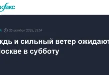 МЧС России предупреждает о дожде и порывистом ветре в Москве mchs rossii preduprezhdaet o dozhde i poryvistom vetre v moskve-urbandigest-ru-0