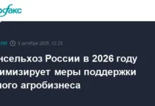 Минсельхоз России представит новые проекты поддержки агробизнеса и агротуризма в 2026 году minselhoz rossii predstavit novye proekty podderzhki agrobiznesa i agroturizma v 2026 godu-urbandigest-ru-0