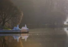 Московские парки готовятся к зиме, уделяя внимание скульптурам и активностям moskovskie parki gotovyatsya k zime udelyaya vnimanie skulpturam i aktivnostyam-urbandigest-ru-0