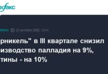 Норникель модернизирует добычу палладия и платины для укрепления потенциала nornikel moderniziruet dobychu palladiya i platiny dlya ukrepleniya potencziala-urbandigest-ru-0