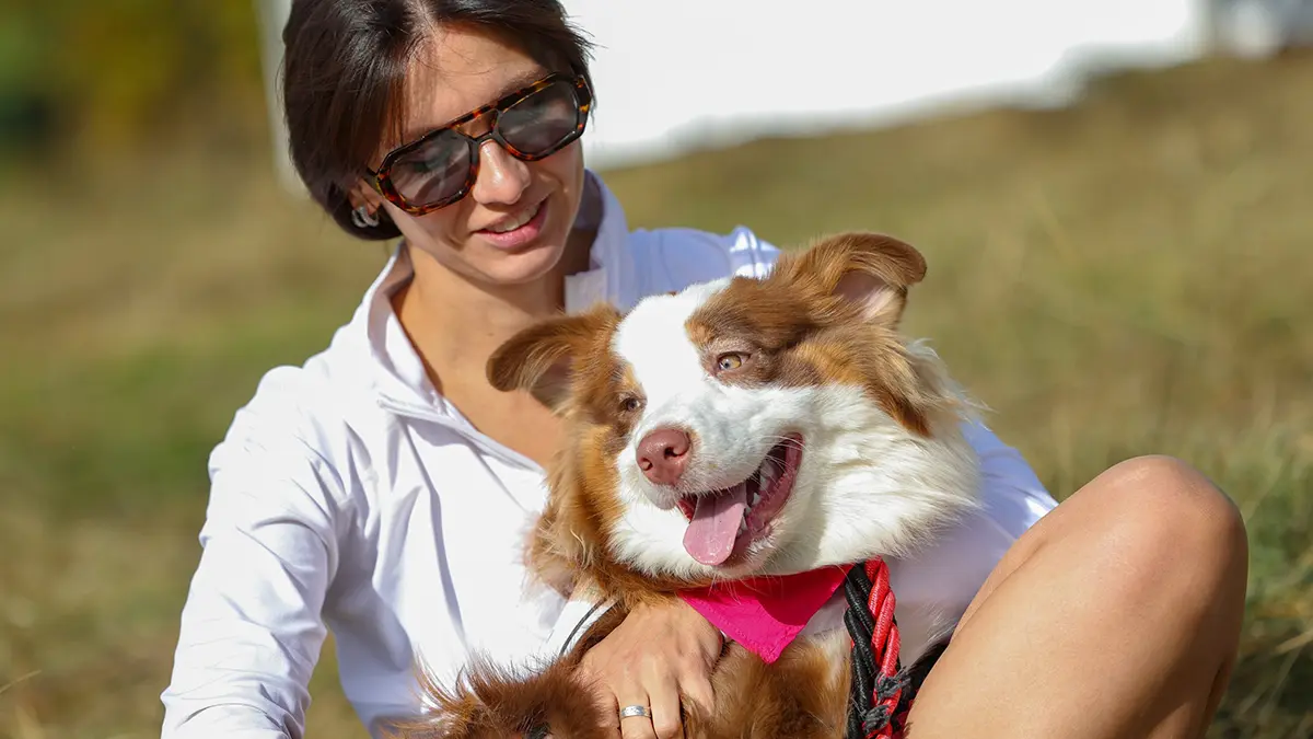 «Сделано в Москве» для питомцев: что выбрать на радость хвостатому другу