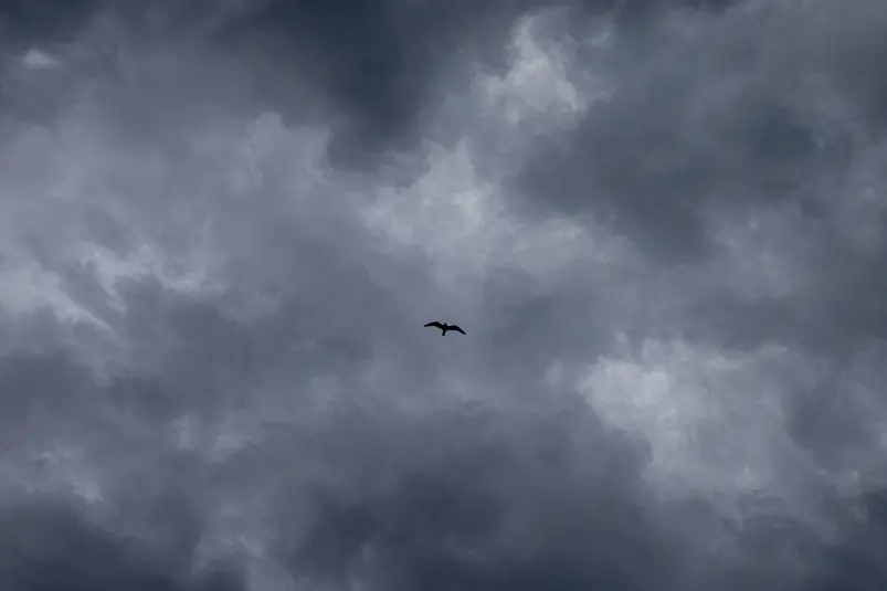 Фото: primamedia.ru