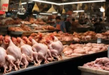 ПРОДО Тюменский бройлер увеличил производительность труда в Тюменской области prodo tyumenskij brojler uvelichil proizvoditelnost truda v tyumenskoj oblasti-urbandigest-ru-0