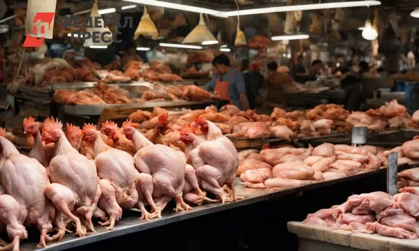 ПРОДО Тюменский бройлер увеличил производительность труда в Тюменской области-0