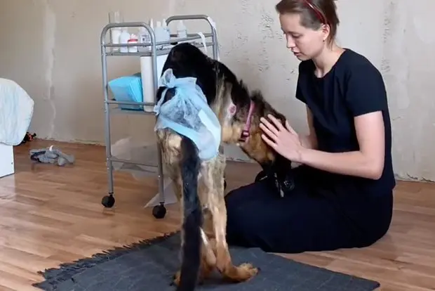 Вводная картинка