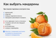 Россия активно наращивает импорт мандаринов из Турции, Китая и Южной Африки rossiya aktivno narashhivaet import mandarinov iz turczii kitaya i yuzhnoj afriki-urbandigest-ru-0