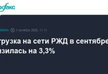 РЖД в сентябре отметила рекордный рост экспорта зерна и руды rzhd v sentyabre otmetila rekordnyj rost eksporta zerna i rudy-urbandigest-ru-0