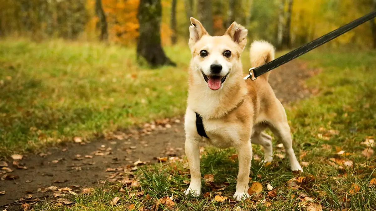 Синоптик Шувалов рассказал о возвращении солнечной погоды в Московский регион