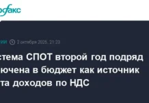 СПОТ поможет увеличить НДС, обеспечив в бюджет 300 миллиардов рублей spot pomozhet uvelichit nds obespechiv v byudzhet 300 milliardov rublej-urbandigest-ru-0