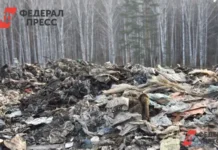 Телеграм-бот «Чистая страна» для ТСЖ и управляющих компаний Пермского края telegrambot chistaya strana dlya tszh i upravlyayushhih kompanij permskogo kraya-urbandigest-ru-0