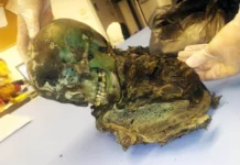 unikalnoe issledovanie bolonskogo universiteta o mednom grobe i ego vliyanii-urbandigest-ru-0