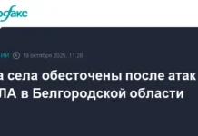 В Белгородской области, включая Новую Таволжанку и Архангельское, отсутствует свет из-за атаки БПЛА v belgorodskoj oblasti vklyuchaya novuyu tavolzhanku i arhangelskoe otsutstvuet svet izza ataki bpla-urbandigest-ru-0