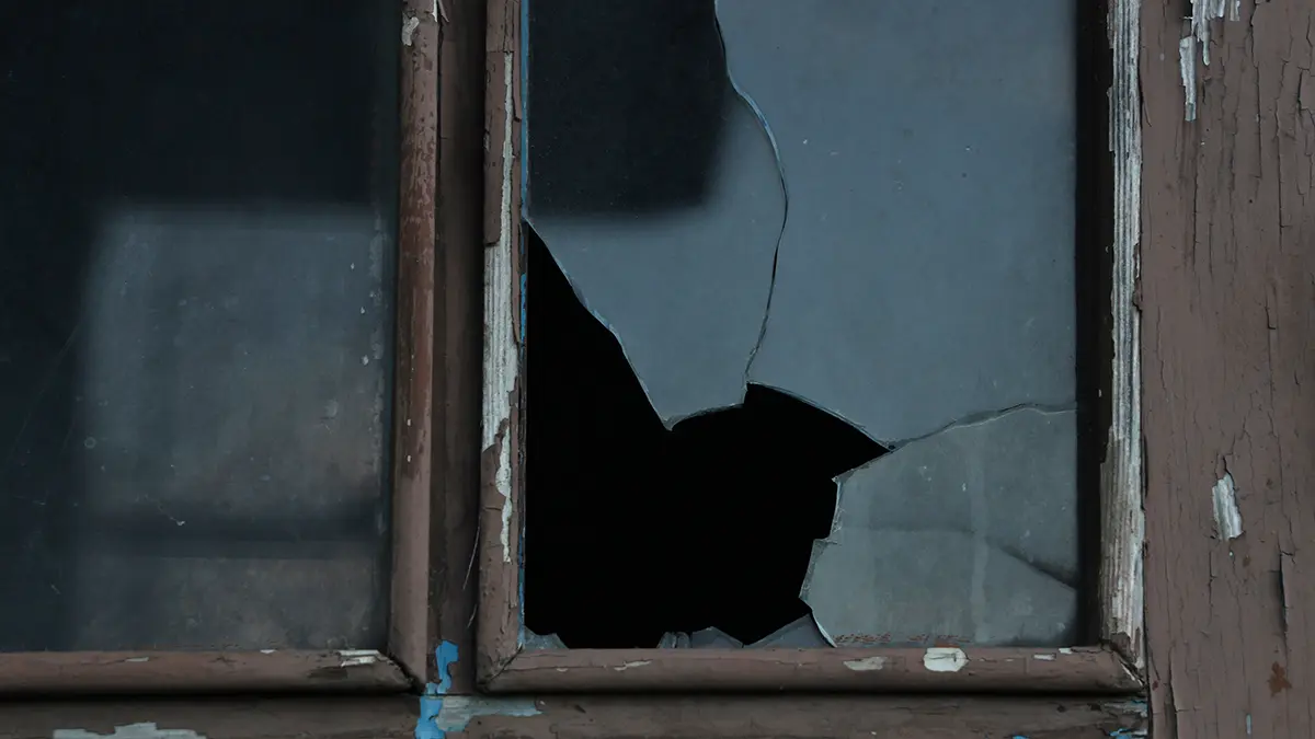 Колонка, играющая песню «Океана Эльзы», взорвалась от пинка жителя Луганска