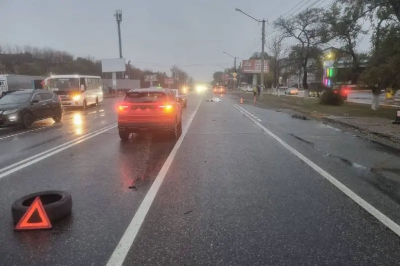 Пенсионерка погибла под колёсами двух машин в Уссурийске Пресс-служба УМВД России по Приморскому краю