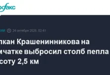 Вулкан Крашенинникова на Камчатке продемонстрировал активность — новости от KVERT vulkan krasheninnikova na kamchatke prodemonstriroval aktivnost novosti ot -urbandigest-ru-0