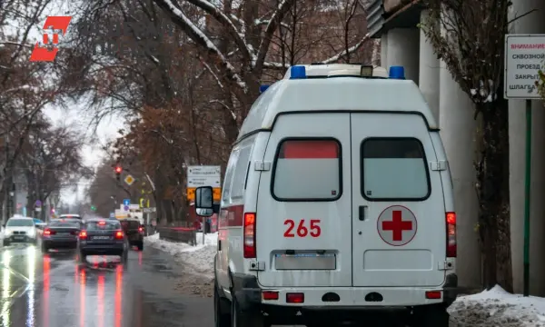 Житель Сибири делится мнением юриста Спиридонова о защите дочери-0