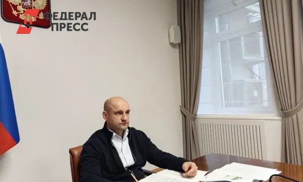 Артем Жога и Алексей Текслер обсудили развитие районов Челябинской области-0