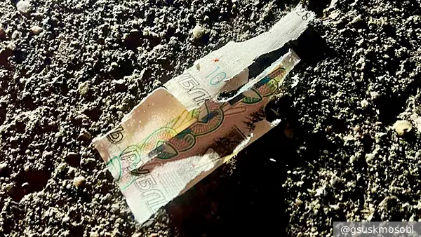 Ветеран «Альфы» прокомментировал взрыв денег в руках ребенка в Красногорске