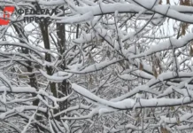 Фобос ожидает снежную зиму, и Москва может пок covered белым пешком в середине ноября fobos ozhidaet snezhnuyu zimu i moskva mozhet pok belym peshkom v seredine noyabrya-urbandigest-ru-0