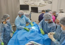 Госдума одобряет позитивные изменения в закон о медицинском наставничестве в Приморье gosduma odobryaet pozitivnye izmeneniya v zakon o mediczinskom nastavnichestve v primore-urbandigest-ru-0