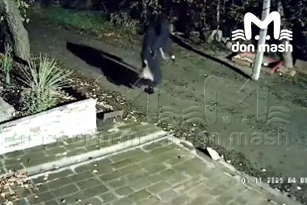 Вводная картинка