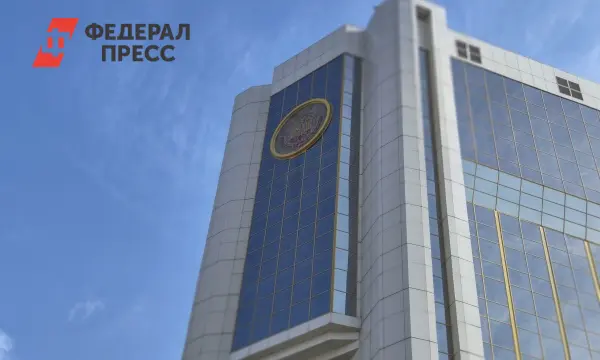 Лариса Рафикова представила стратегию роста ВРП Чувашии до 2028 года на 36 процентов-0